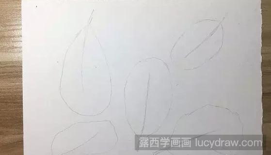 五彩羽毛用彩铅画怎么画？