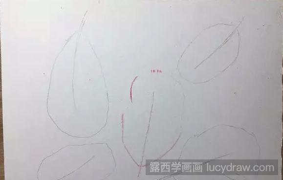 五彩羽毛用彩铅画怎么画？