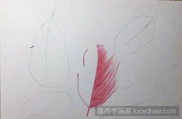 五彩羽毛用彩铅画怎么画？