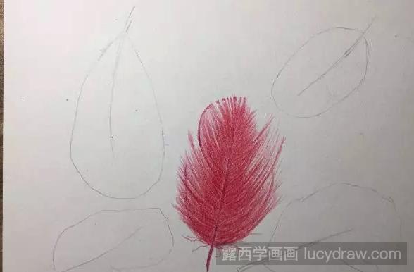 五彩羽毛用彩铅画怎么画？