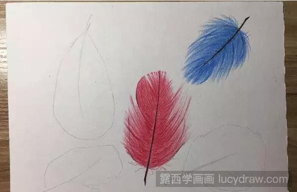 五彩羽毛用彩铅画怎么画？