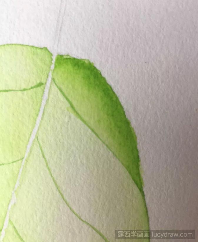 一片绿叶水彩画步骤是什么？