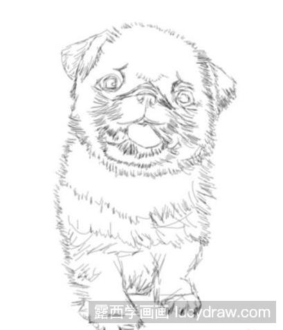 素描画可爱的小狗是怎么画的？