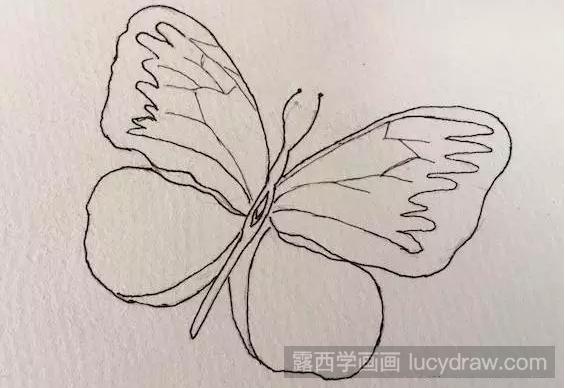 蓝色蝴蝶的彩铅画怎么画？