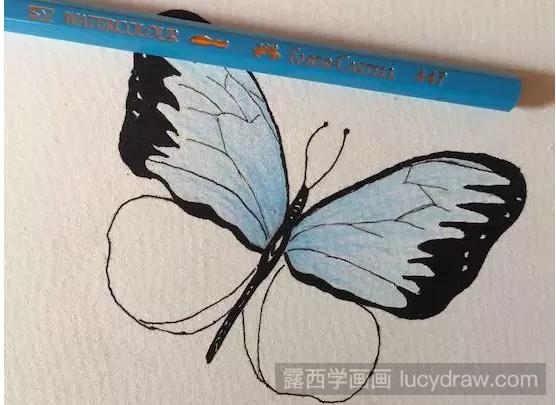 蓝色蝴蝶的彩铅画怎么画？