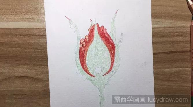 晨雨中的玫瑰花彩铅画如何画？