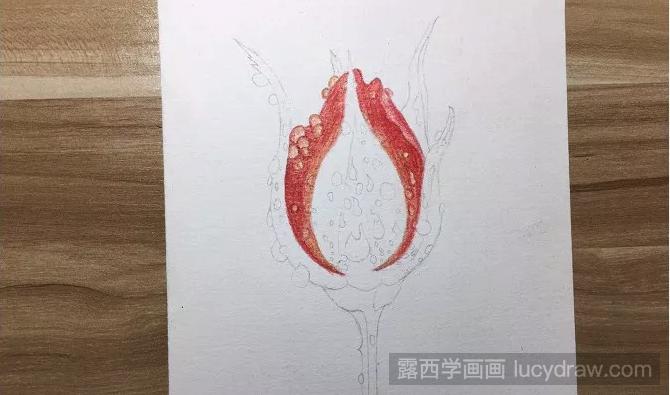 晨雨中的玫瑰花彩铅画如何画？