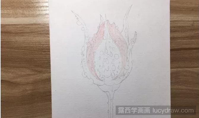 晨雨中的玫瑰花彩铅画如何画？