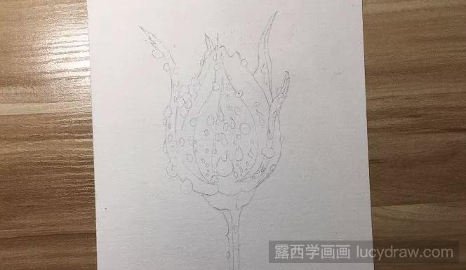 晨雨中的玫瑰花彩铅画如何画？