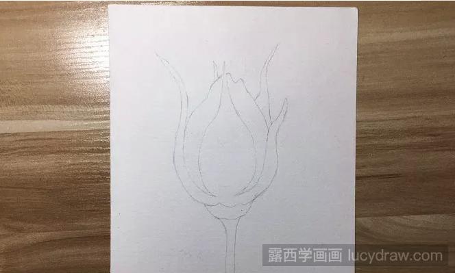 晨雨中的玫瑰花彩铅画如何画？