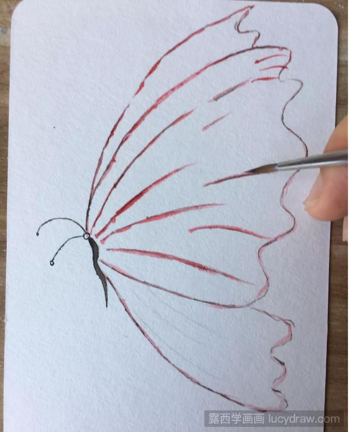 水彩画蝴蝶的透明翅膀教程是什么？