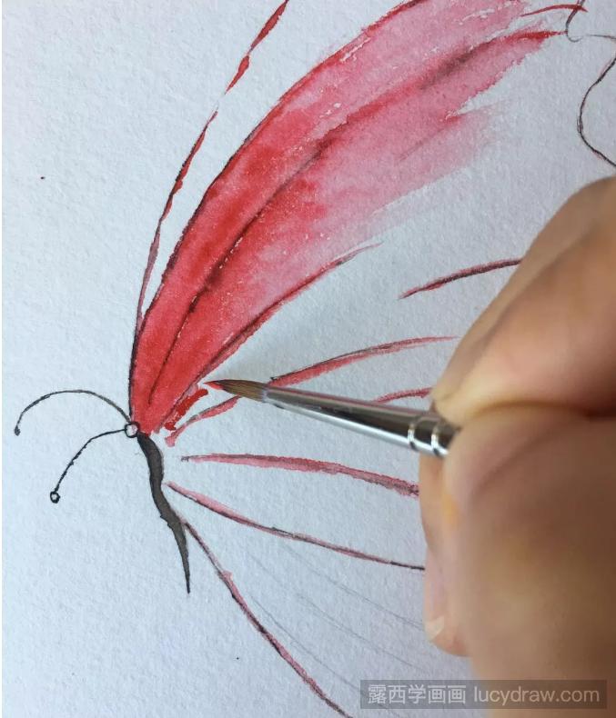水彩画蝴蝶的透明翅膀教程是什么？