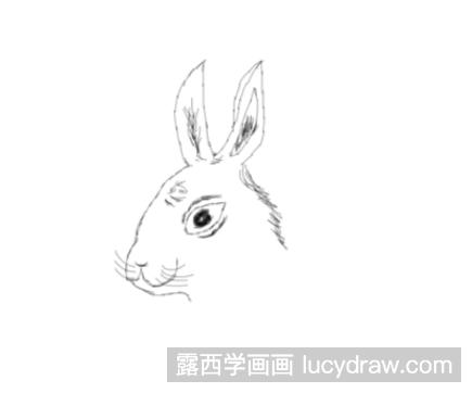 可爱的兔子素描画怎么画？