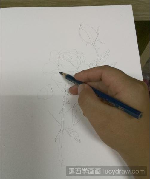 如何用彩铅笔画花？彩铅画教程分享