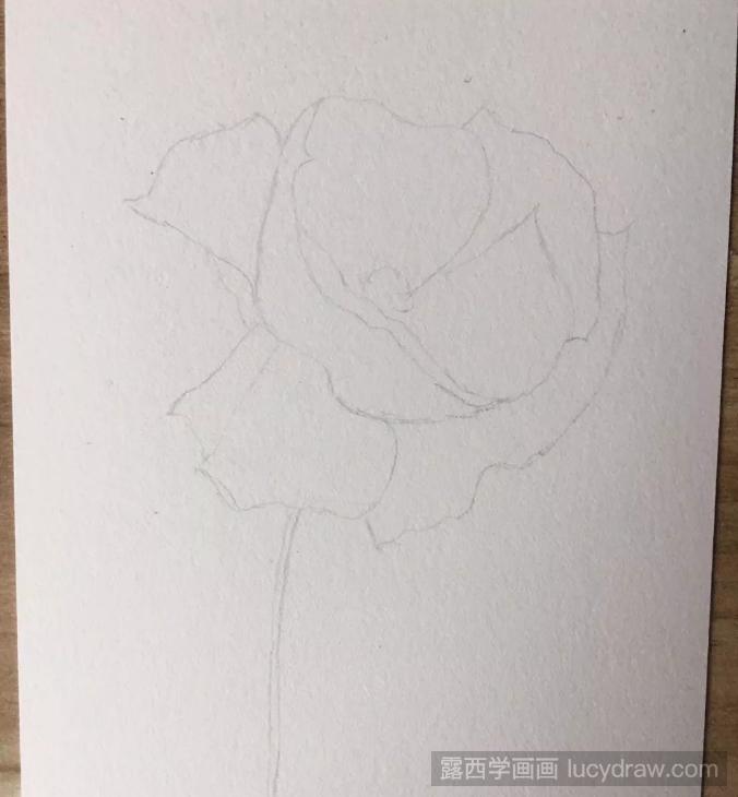 罂粟花水彩画绘画教程是什么？