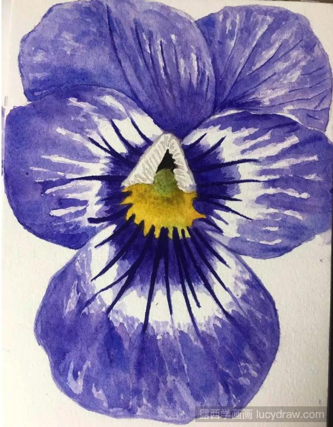 超详细的紫罗兰水彩画教程