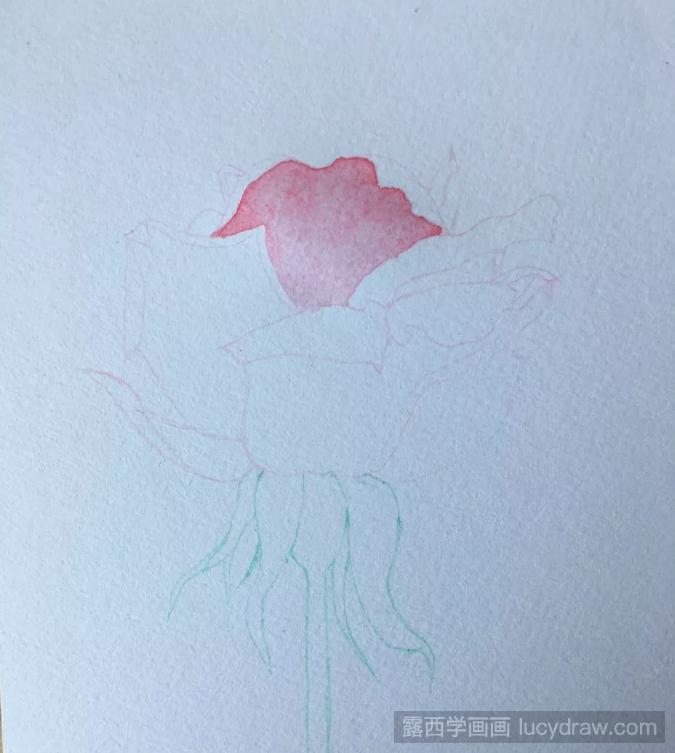 红玫瑰水彩画教程分享