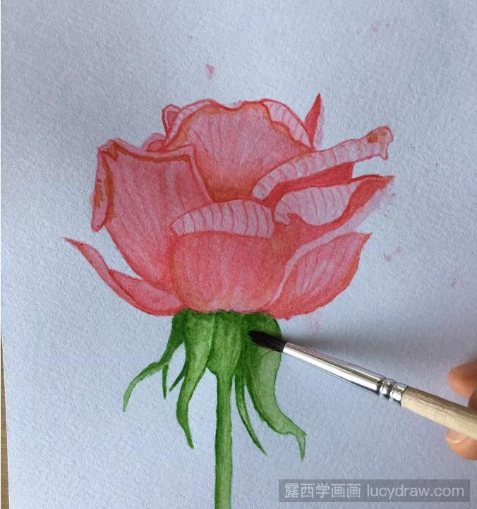 红玫瑰水彩画教程分享