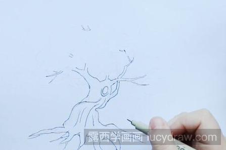 樱花树简笔画怎么画？