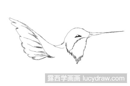 超级简单的小鸟素描画怎么画？