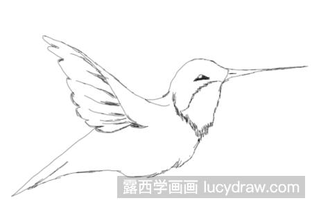 超级简单的小鸟素描画怎么画？