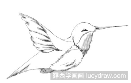 超级简单的小鸟素描画怎么画？