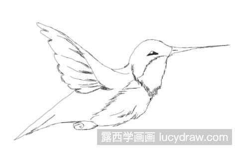 超级简单的小鸟素描画怎么画？