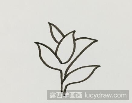 茶叶树的简笔画怎么画?一步一步教你画茶叶的树