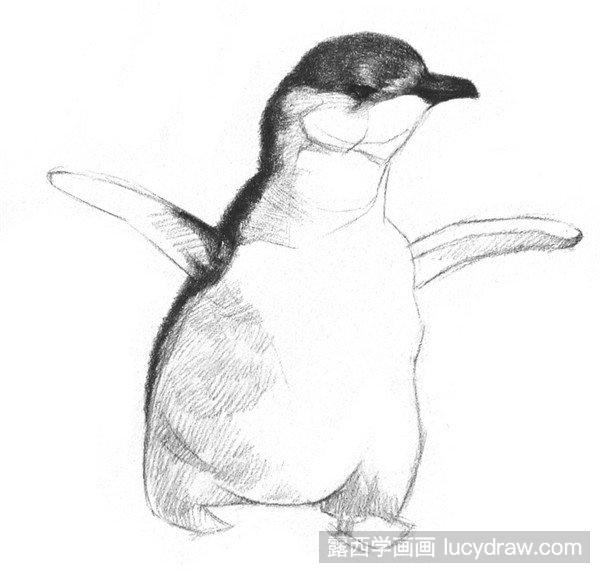 企鹅的素描画要怎么画?素描企鹅的教程