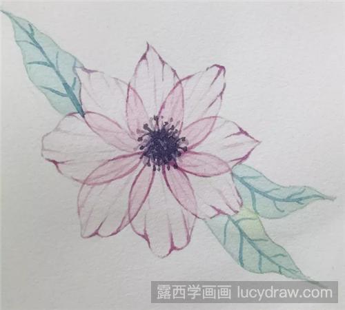 透明的花用水彩怎么画?教你零基础学习水彩