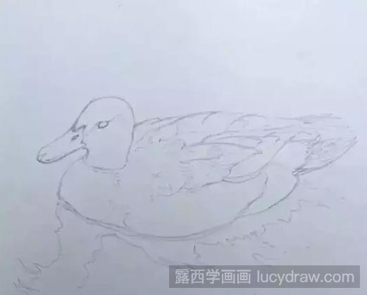 鸭子素描怎么画？动物素描绘画方法