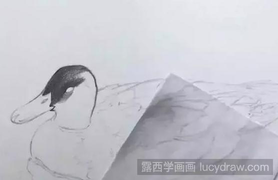 鸭子素描怎么画？动物素描绘画方法