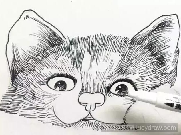 简单的小猫咪怎么画？猫咪简笔画步骤有哪些？