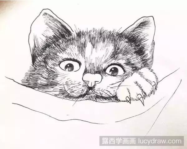 简单的小猫咪怎么画？猫咪简笔画步骤有哪些？