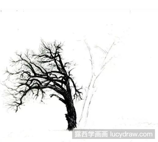 枯树怎么画？如何简单的用圆珠笔画一颗枯树？