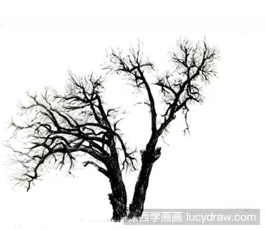枯树怎么画？如何简单的用圆珠笔画一颗枯树？