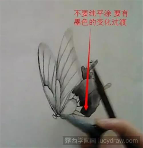 怎么画工笔画蝴蝶？超详细的蝴蝶工笔画步骤