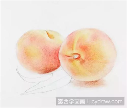 桃子怎么画？怎么用彩铅画两个诱人的水蜜桃？