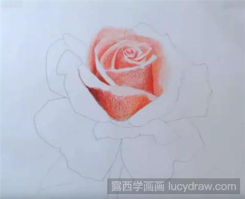粉色玫瑰花怎么画？彩铅画叠色过程分享！