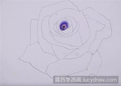 蓝紫色玫瑰花怎么画？彩铅玫瑰的详细步骤分享
