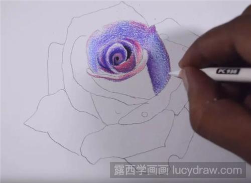 蓝紫色玫瑰花怎么画？彩铅玫瑰的详细步骤分享