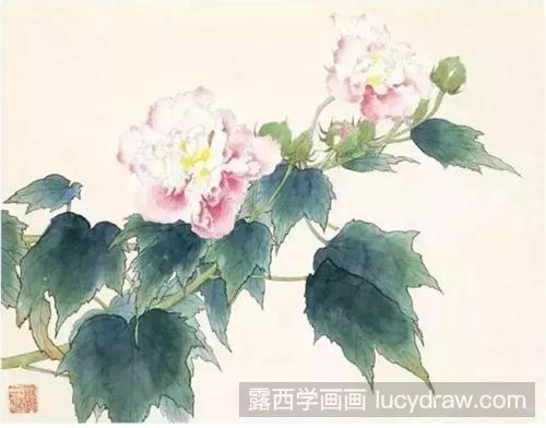 芙蓉、菊花和鹤望兰怎么画？这三种花的工笔画步骤是什么？