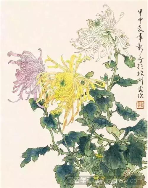 芙蓉、菊花和鹤望兰怎么画？这三种花的工笔画步骤是什么？