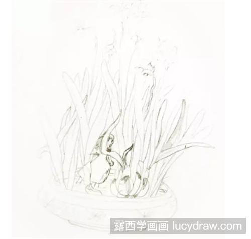 水仙花怎么画？水仙里的小仙子插画步骤有哪些？