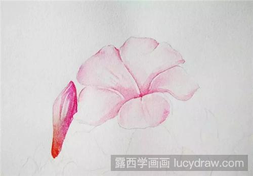 怎么画紫茉莉花？紫茉莉花的水彩画步骤是什么？