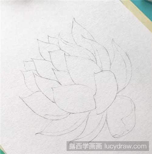 多肉彩铅画怎么画？具体的步骤是什么？