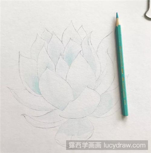 多肉彩铅画怎么画？具体的步骤是什么？