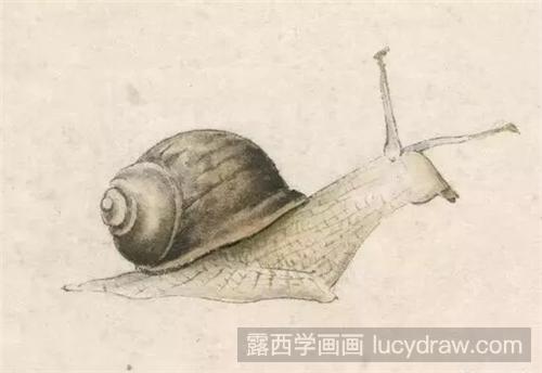 蜗牛国画怎么画？蜗牛的设色技法是什么？