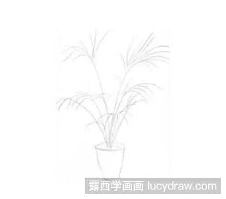 家具和植物的素描画法是什么？怎么画出实物周围的空间？