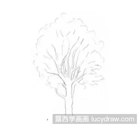 家具和植物的素描画法是什么？怎么画出实物周围的空间？